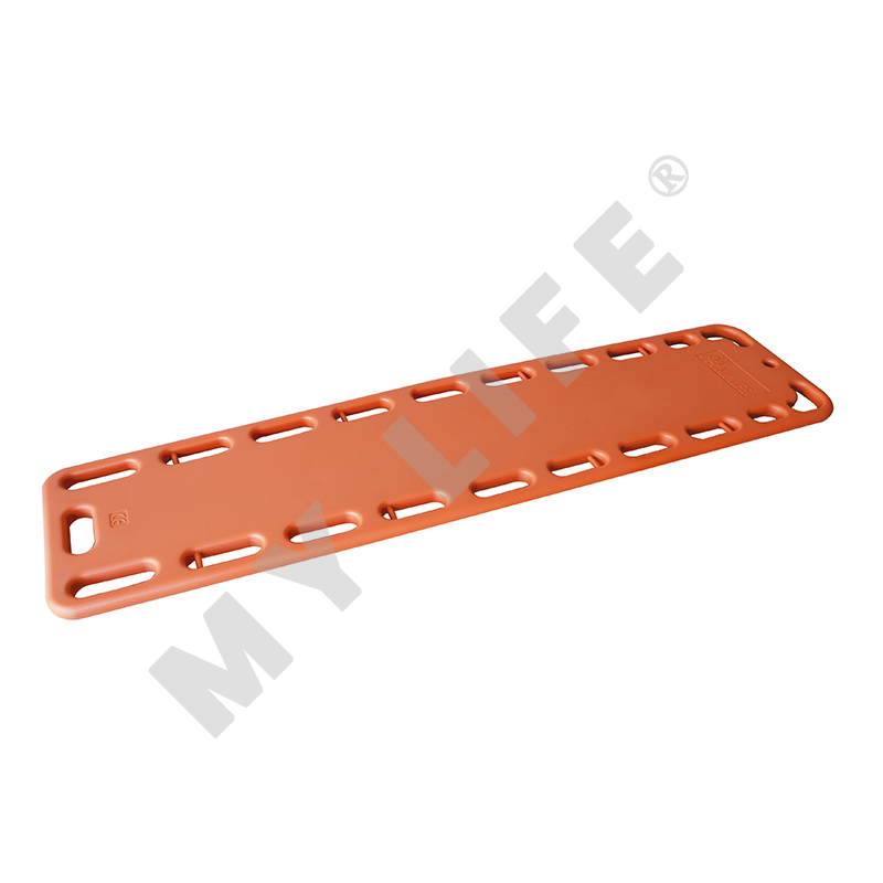 Papan Tulang Belakang -Dewasa